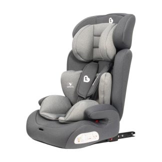 BABYRO WING