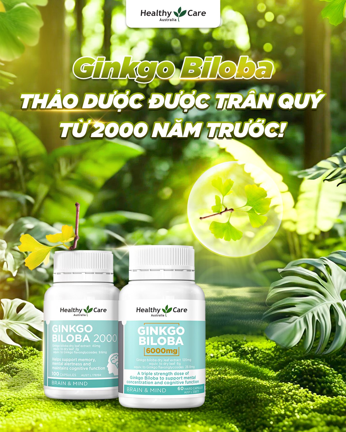 Healthy Care Ginkgo Biloba 2000mg